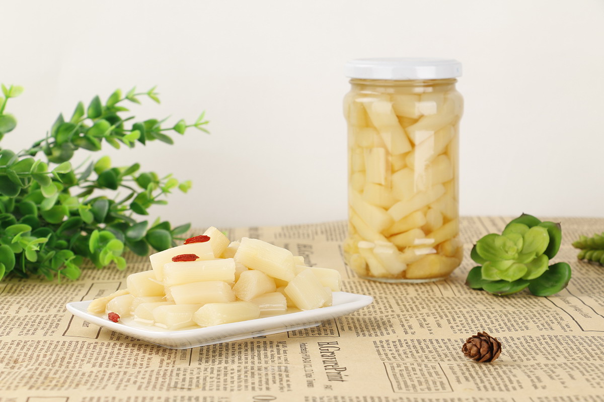 mg冰球突破奢华版(试玩)官方网站