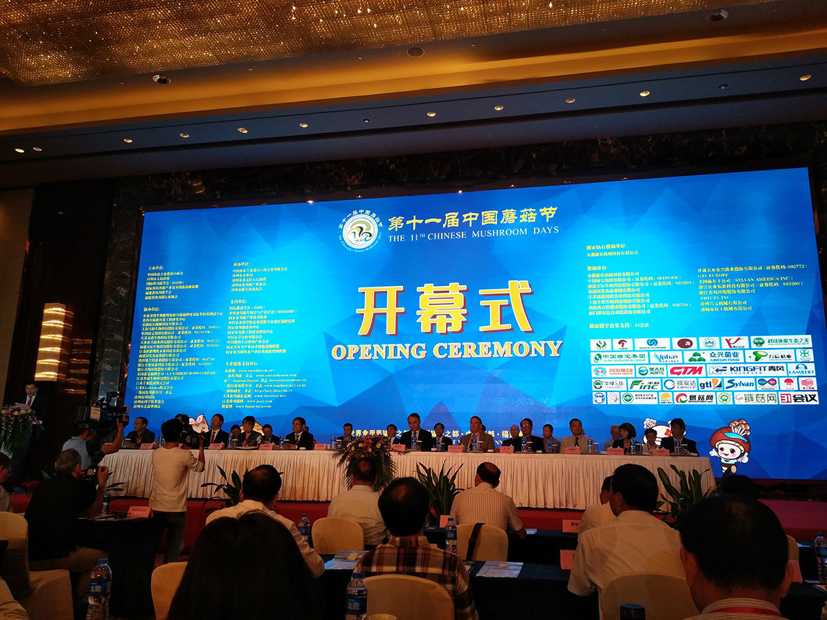 mg冰球突破奢华版(试玩)官方网站