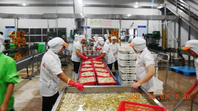 mg冰球突破奢华版(试玩)官方网站