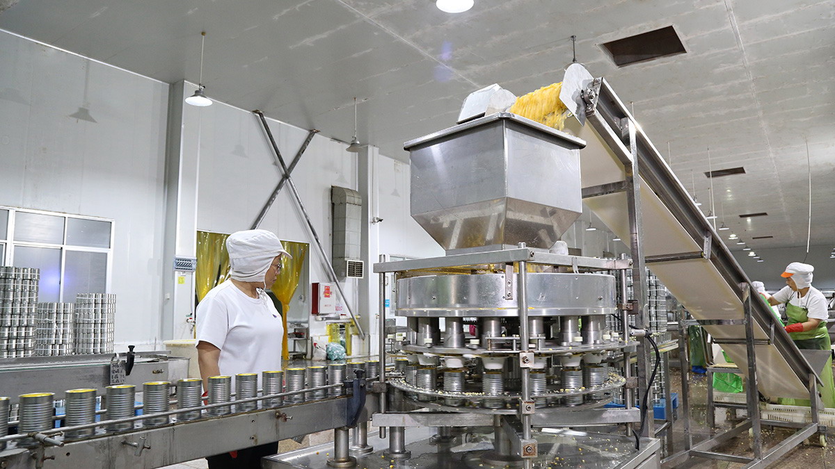 mg冰球突破奢华版(试玩)官方网站