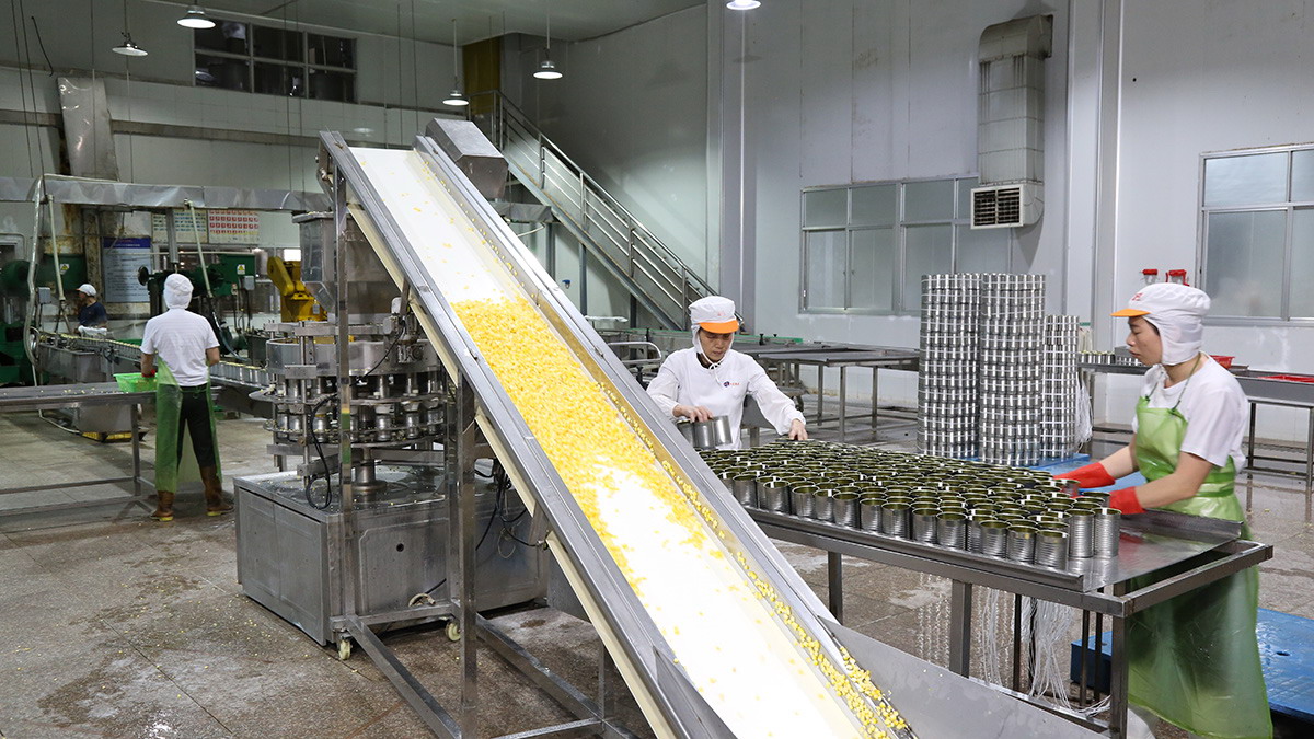 mg冰球突破奢华版(试玩)官方网站